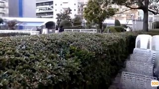 cf辽宁一区名炫🈲🈲亚洲无插件无码视频